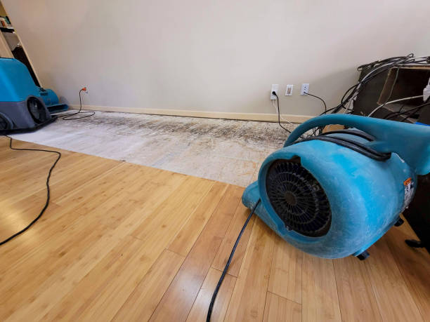 Professional Structural Drying technician working in Fairview, SD
